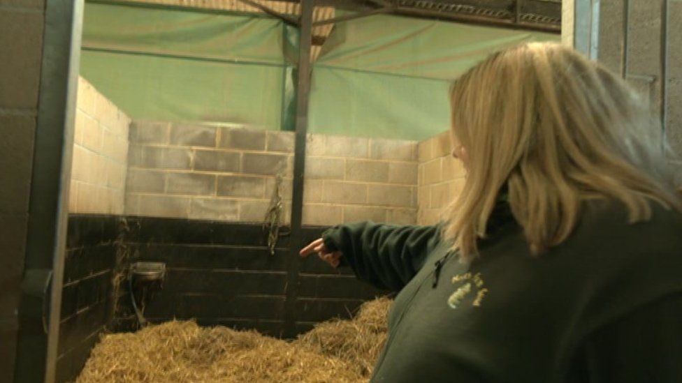 Grace Muir in a stable pointing at where the leak was
