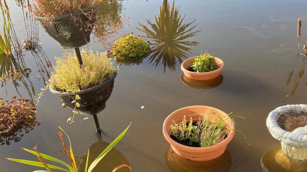 Garden flooding