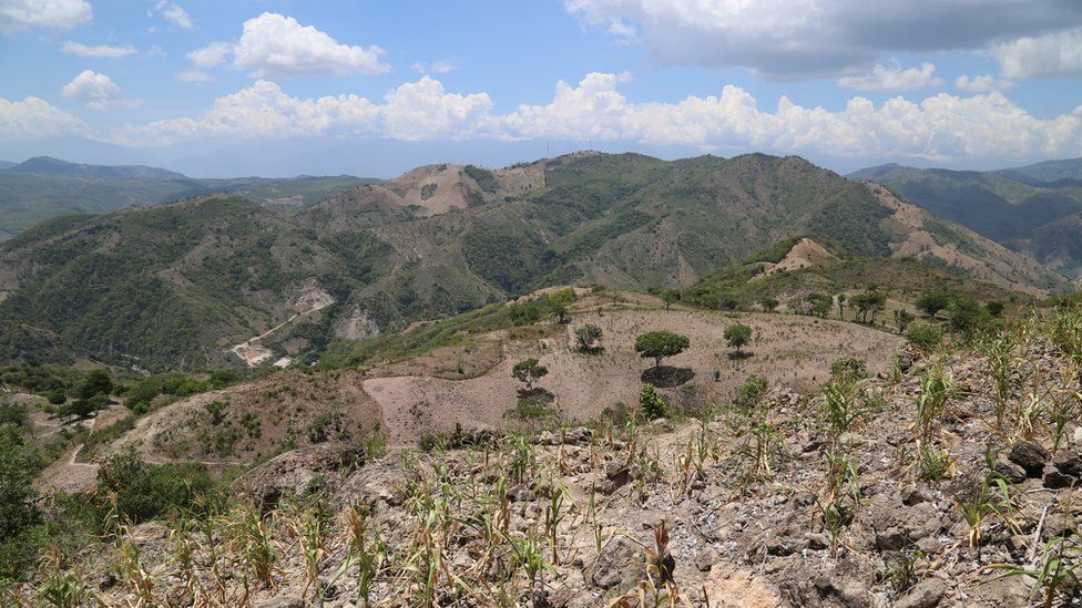 A drought-hit hillside in Guatemala