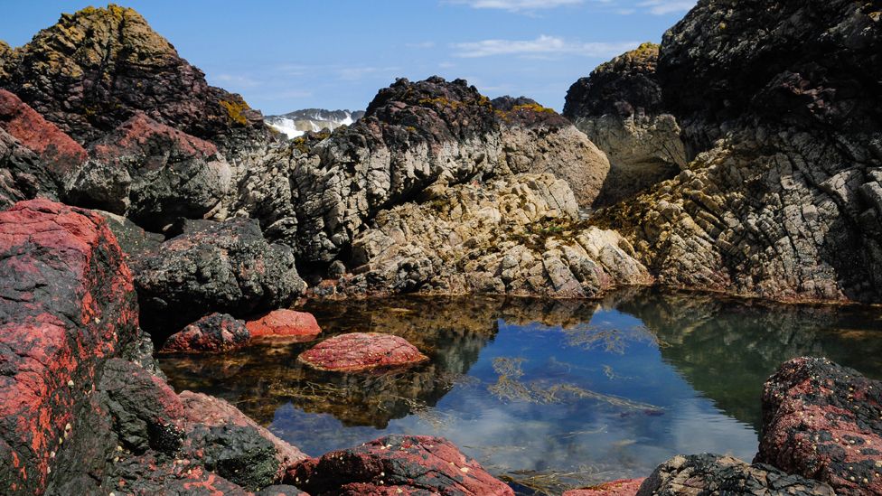 Rock pool