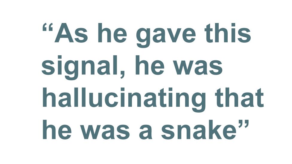 Quotebox: As he gave this signal, he was hallucinating that he was a snake