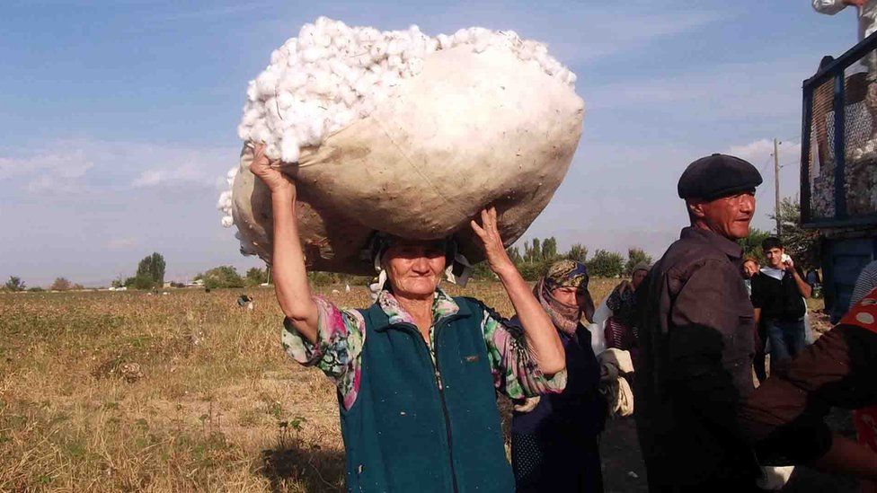 Uzbek woman carrying cotton