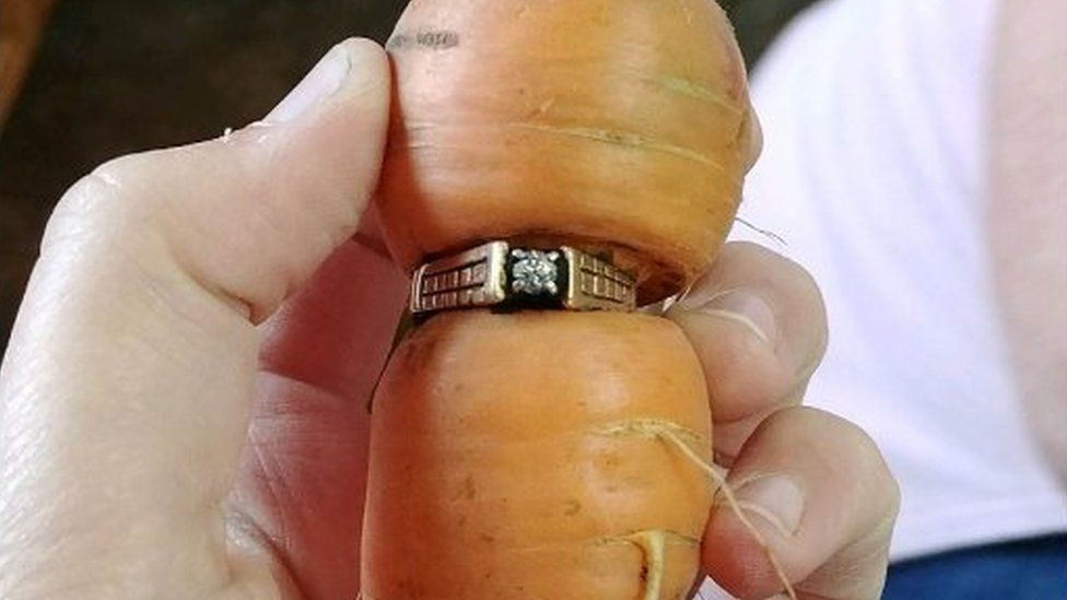 A diamond ring was pulled up with a carrot
