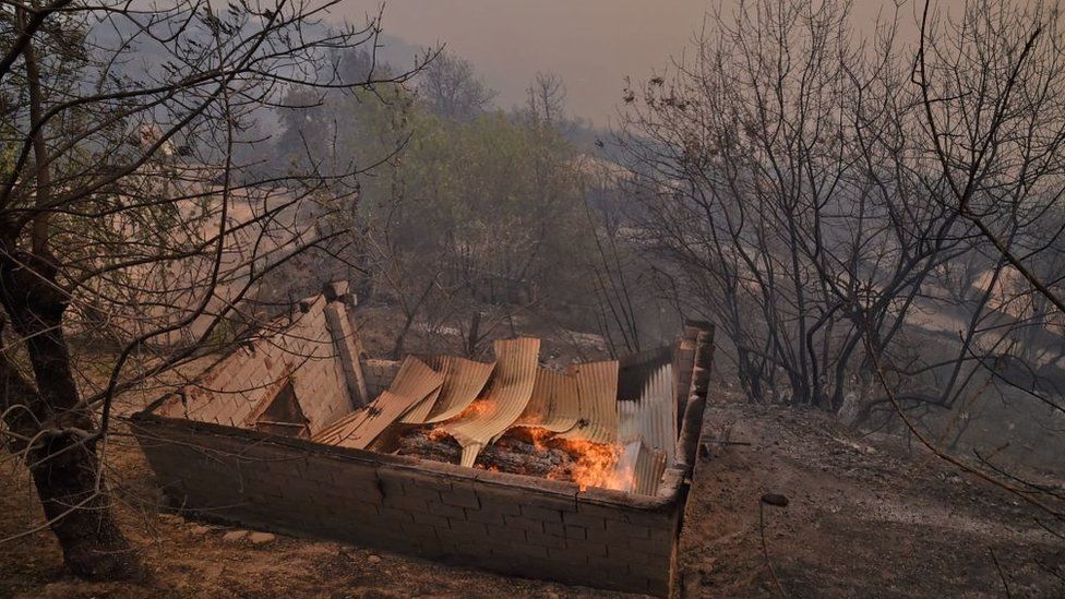 Строение горит во время лесного пожара на лесистых холмах в районе Кабили