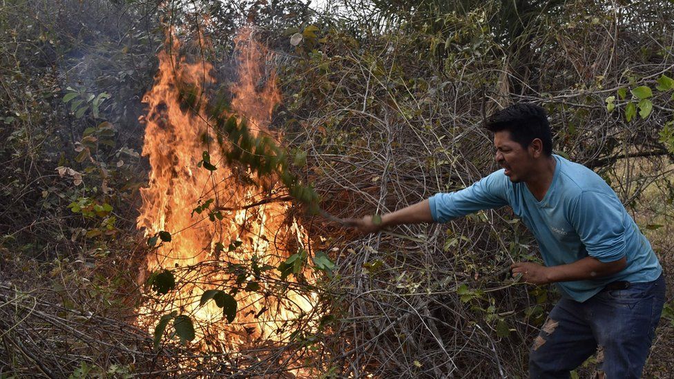 A volunteer tries to put out a fire in the surroundings of Robore in eastern Bolivia, on August 25, 201