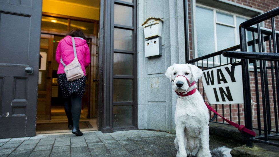 A dog waits outside as a voter arrives at the South Belfast Polling Station