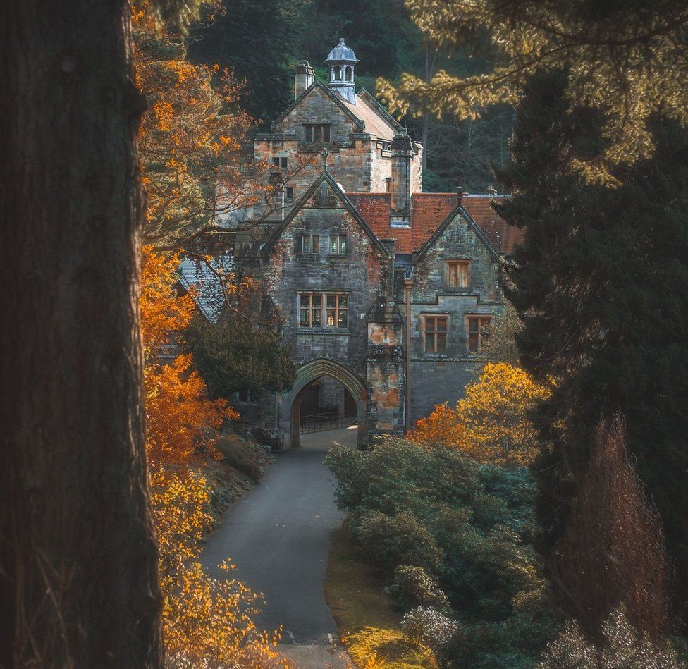 Trees shining orange in the sunlight line a drive to an ornate and grand looking old house