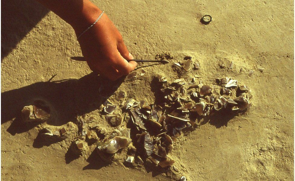 A pile of stone shards produced when an early human knelt to create a stone hand axe. The imprint of the person's knee can be seen in the silt.