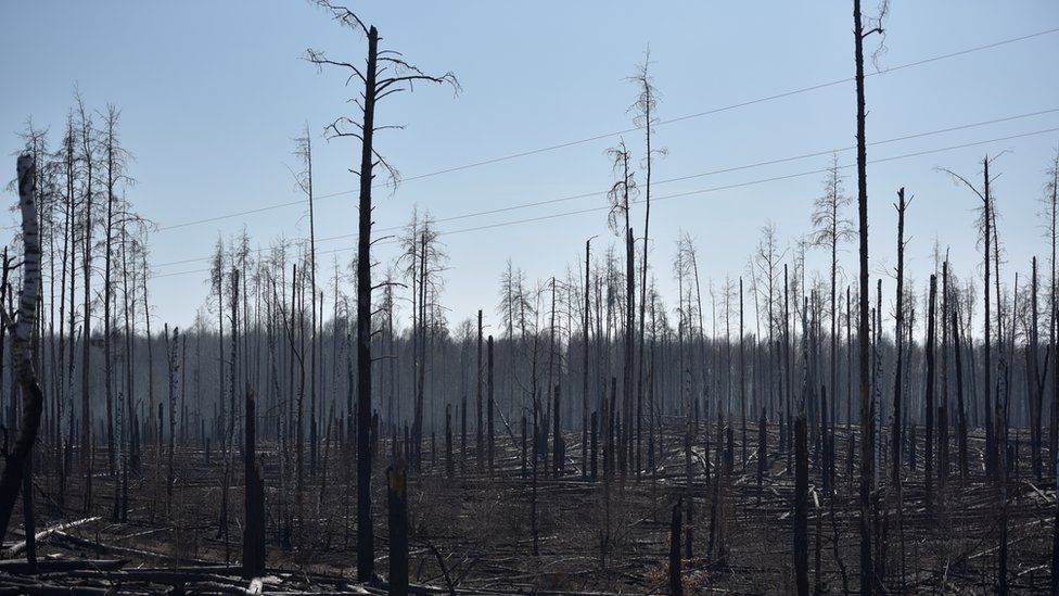 Image of Chernobyl exclusion zone fire from 12 April
