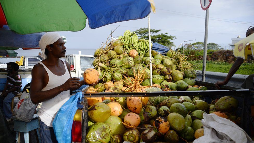 A coconut seller at the market in Roseau