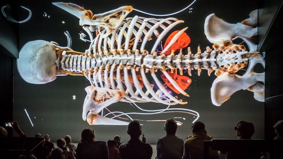 Ars Electronica Center's Deep Space 8K.