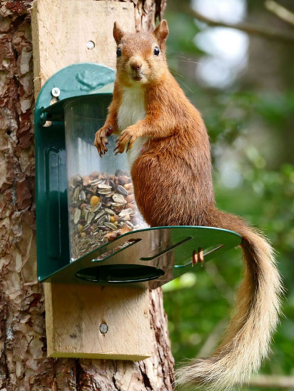 Your pictures of Scotland: 31 July - 7 August - BBC News