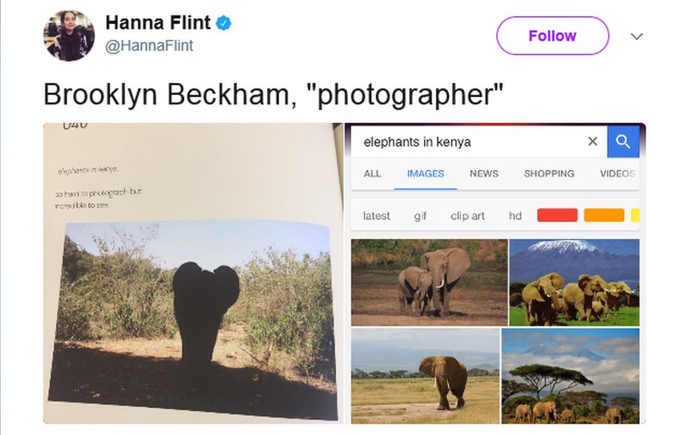 Hannah Flint's tweet comparing Brooklyn's elephant photo with other elephant photos from Google