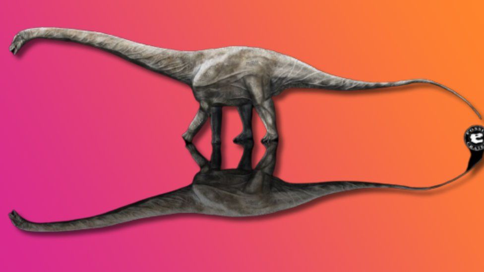 Researchers Identify Dinosaur Species 5 Times Larger Than Tyrannosaurus