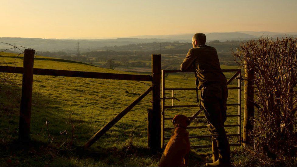 A man and his dog taking a permitted walk in the Vale of Glamorgan