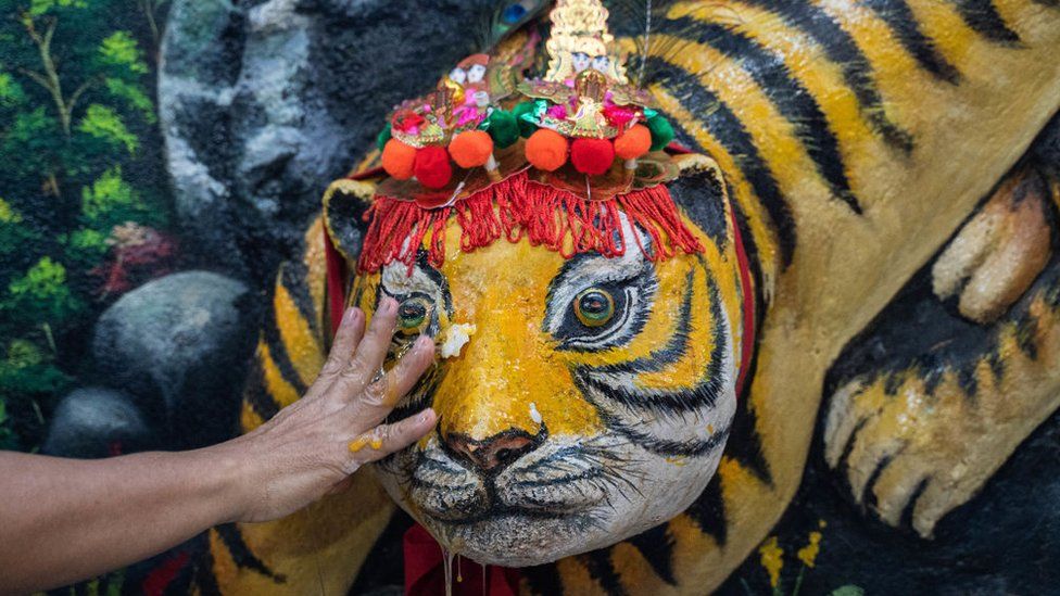 A person cracks an egg on a tiger sculpture for blessings at a Chinese temple in Phnom Penh, Cambodia