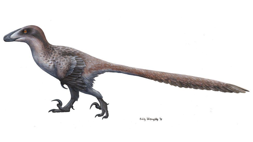 An illustration of a bird-like dinosaur with a long, feathered tail and sharp claws