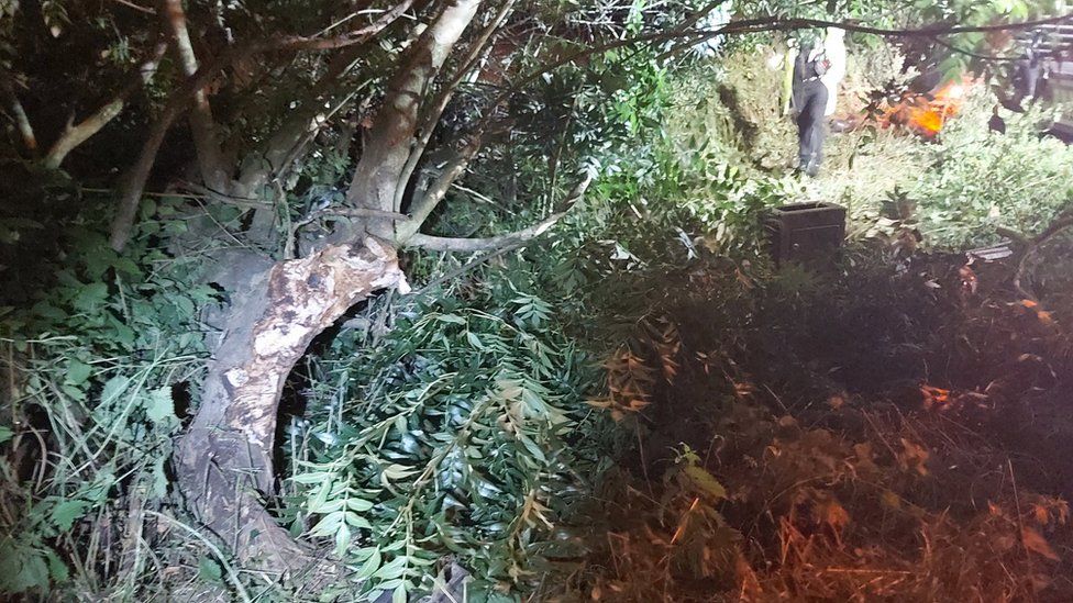 Stansted Mountfitchet Driver and passengers 'lucky escape' from crash