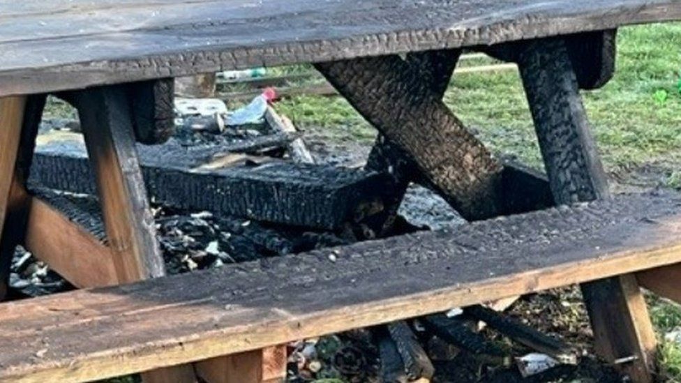 Burned park bench