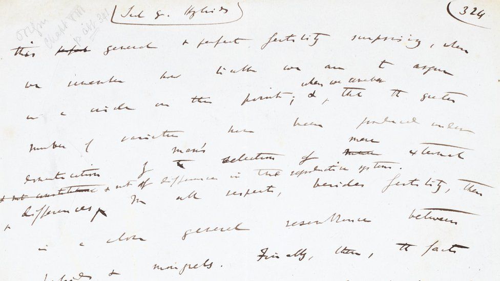 Autograph manuscript page from On the Origin of Species