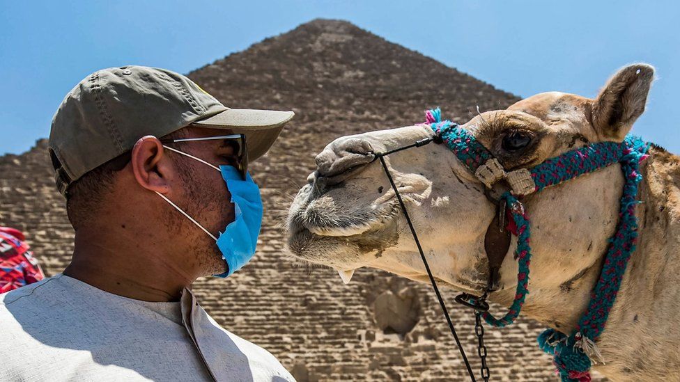 A camel guide stands in front of the Great Pyramid at Giza, Egypt (1 July 2020)