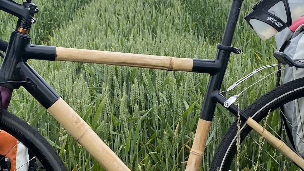 Bamboo bike frame