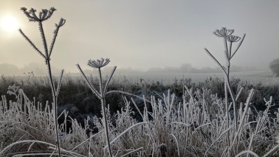Frost in Great Chesterford, Essex