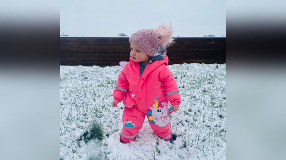 Lily in the snow in Winterbourne