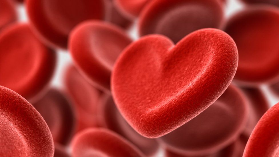 red blood cells and one heart-shaped one