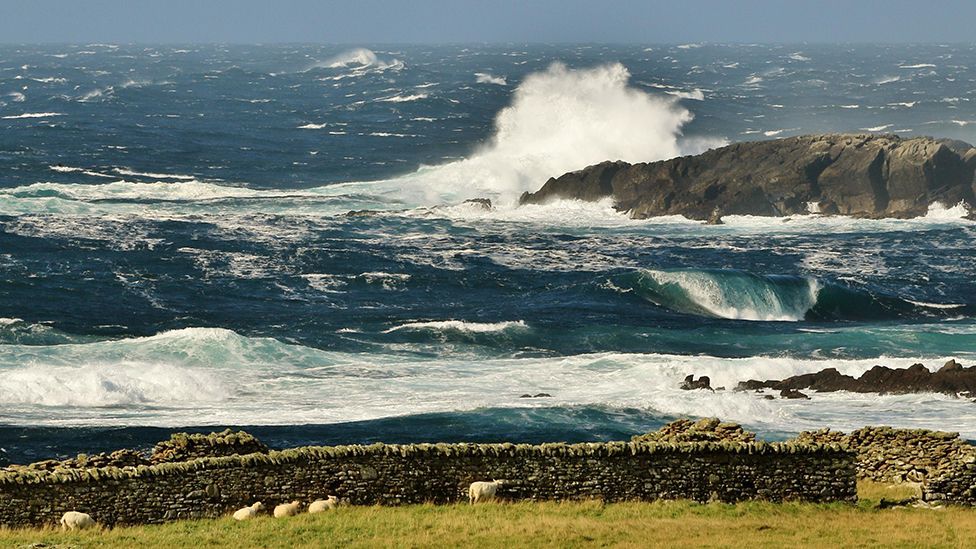 Stormy seas crash against a rocky outcrop with sheep grazing in a field in the foreground, in Sumburgh