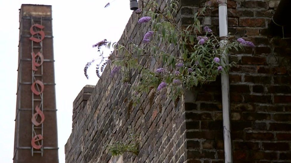 A wall with plants growing over it in the foreground with the Spode chimney stack in the background