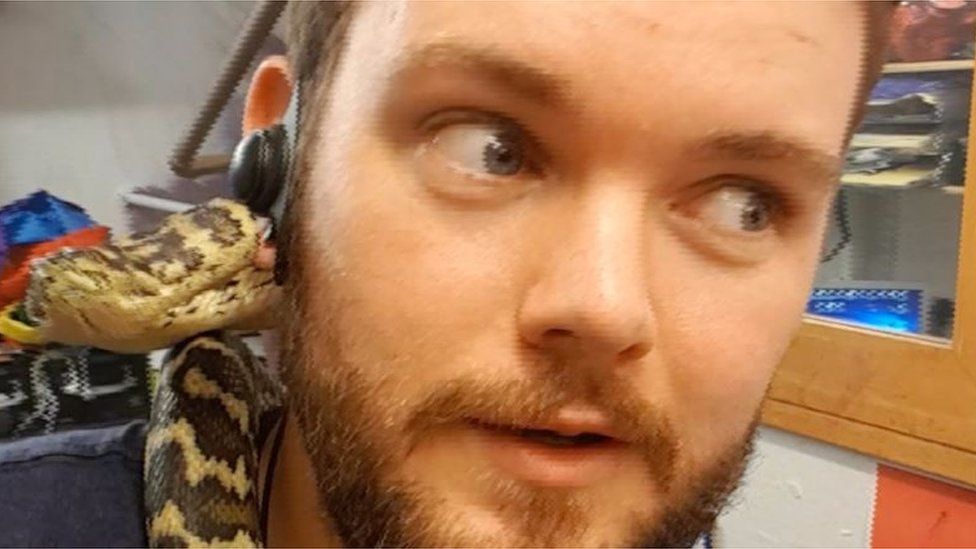 Six-foot python dumped in a Manchester city centre bin rehomed - BBC News