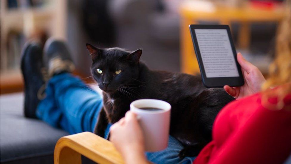 Woman reading e-book with a black cat