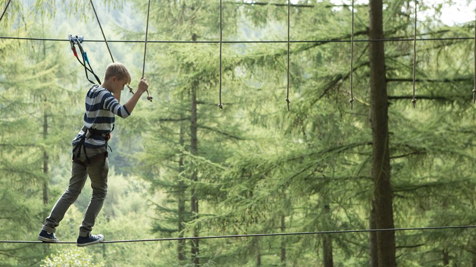 A boy making his way across a Go Ape obstacle