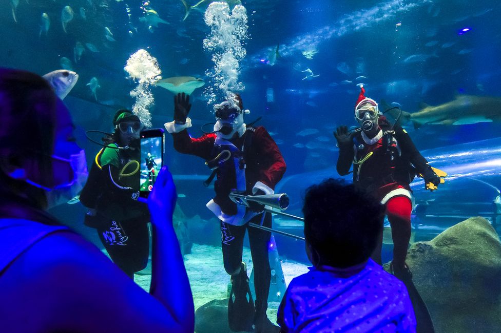 Aquarists dressed as Elf, Santa Claus and Mrs Claus greet the public inside a huge water tank at AquaRio in Rio de Janeiro