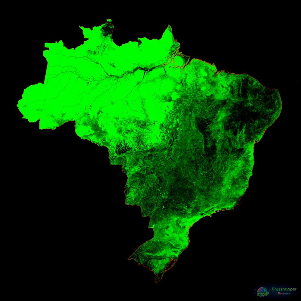 Imagem mostra o mapa do Brasil colorido em verde pelo cartógrafo húngaro Robert Szucs