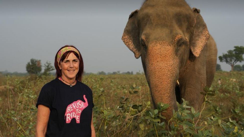 Debbie Haynes and an elephant