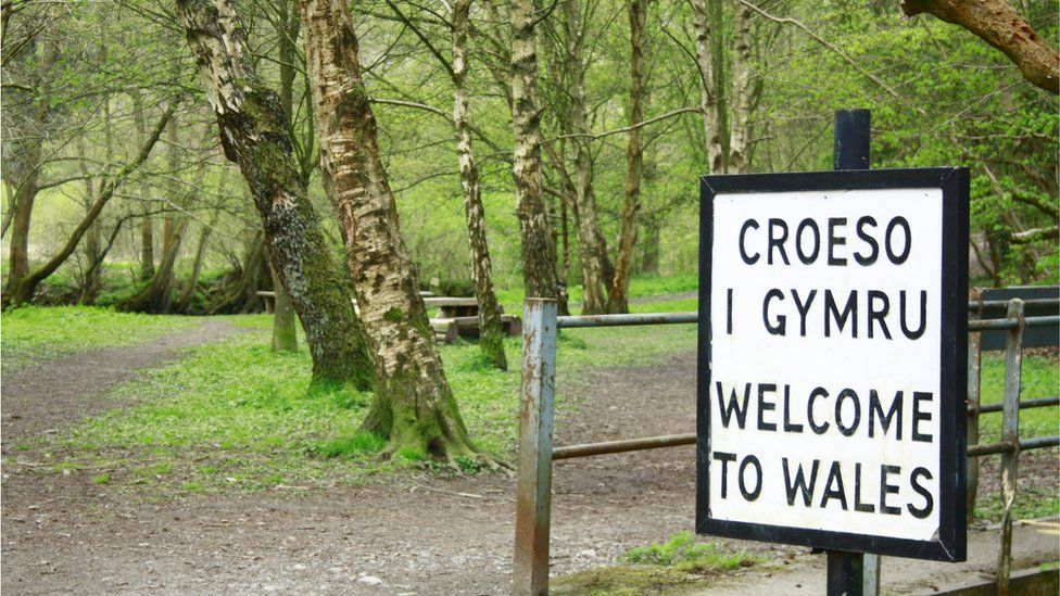 Forest with Welcome to Wales sign