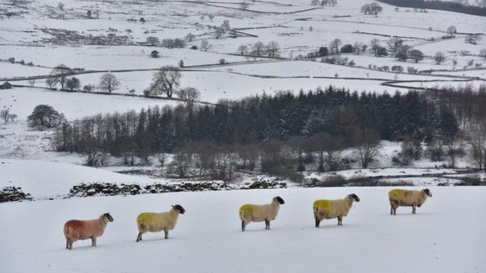 Fields covered with snow in Richmond, North Yorkshire
