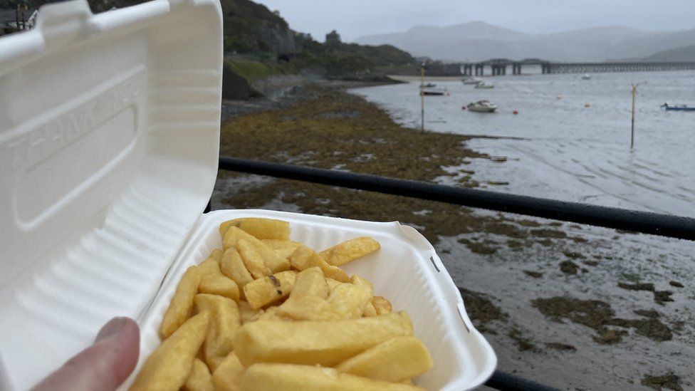 Barmouth harbour with a portion of chips, undisturbed by birds