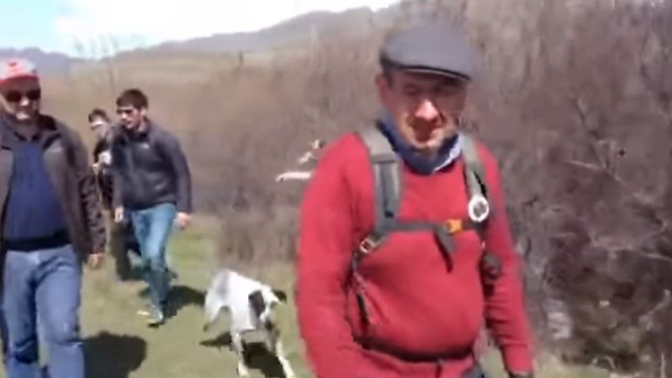 Chalo the dog on the protest march with Nikol Pashinyan