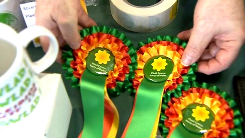 Plaid Cymru rosettes on display at a party conference