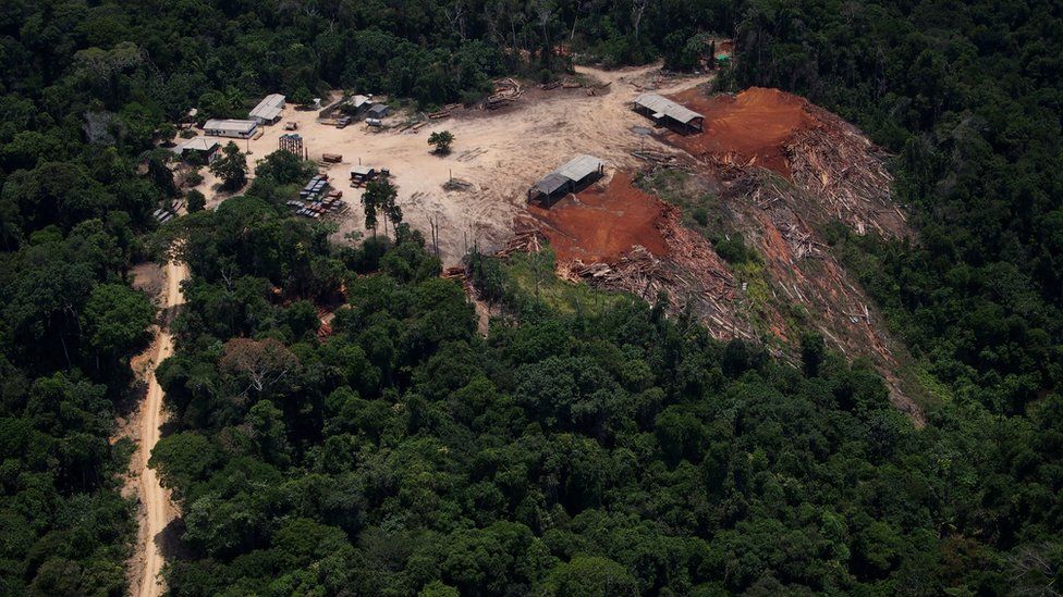 View of a sawmill during an overflight by Greenpeace activists over areas of illegal exploitation of timber in the state of Para, Brazil, on October 14, 2014