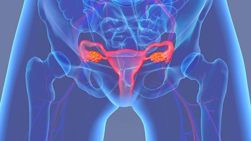 donde se produce la fecundacion en el aparato reproductor femenino