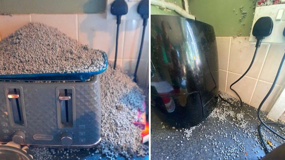 Mum relieved after polystyrene balls stop leaking into home BBC News