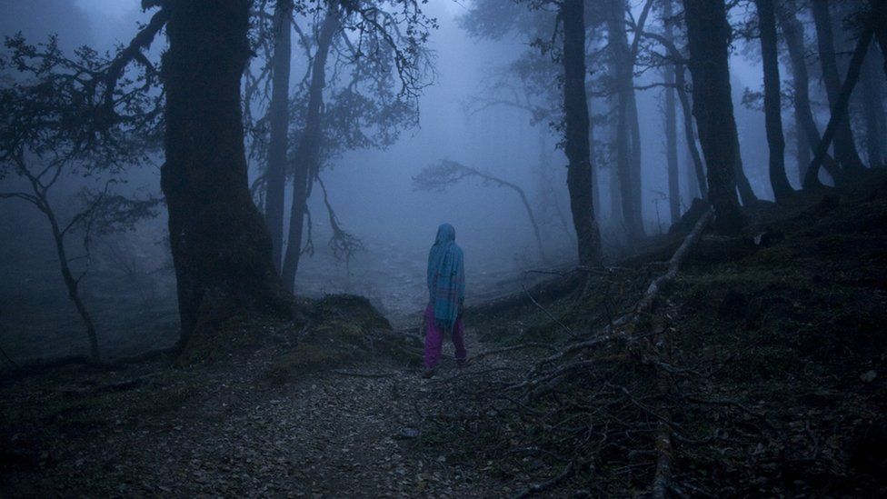 One woman, Noor, walks alone in the forest