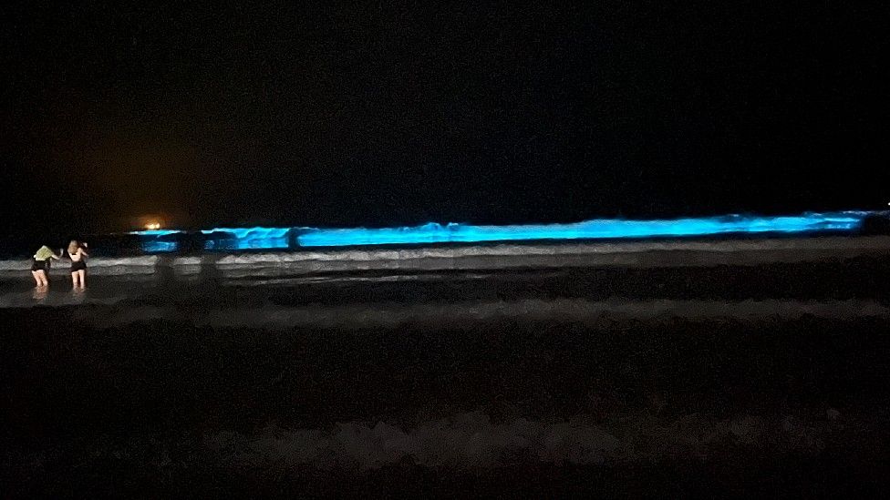 Due donne su una spiaggia di notte davanti a un'onda illuminata di blu