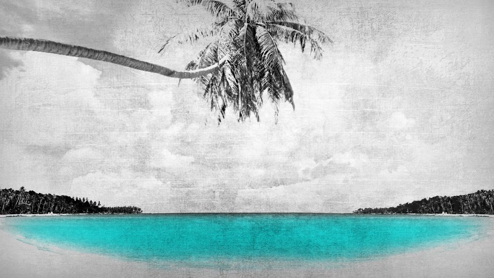 Paradise Papers beach