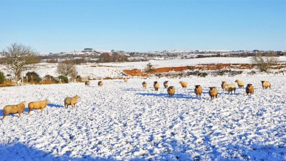 The scene at Mountfield near Omagh, during the snow in Northern Ireland last year