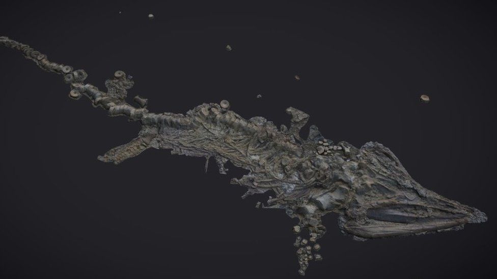 3D σάρωση απολιθωμάτων